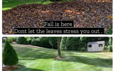 Fall Lawn Services That Prepare Your Yard for Winter