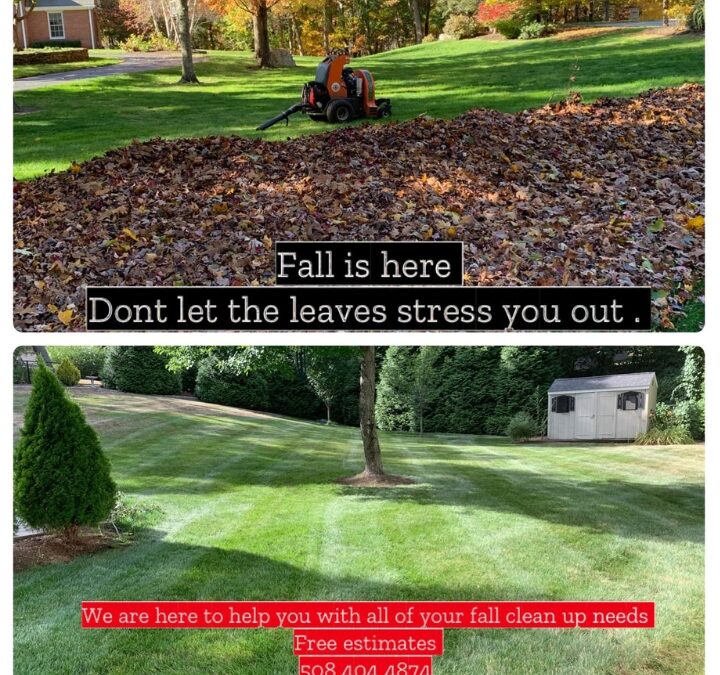 Fall Lawn Services That Prepare Your Yard for Winter