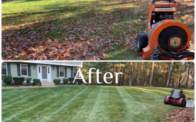 Late Fall Lawn Prep: Get Your Yard Ready for Winter