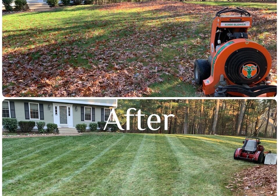 Late Fall Lawn Prep: Get Your Yard Ready for Winter