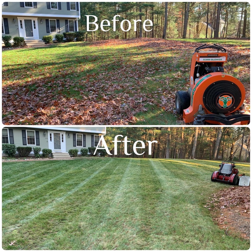 Before and after of leaf clean up